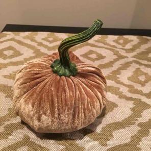 Taupe / nude velvet pumpkin