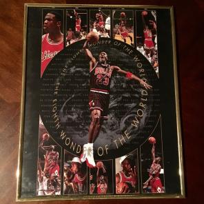 Michael Jordan Framed Picture