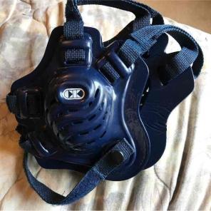 Wrestling headgear