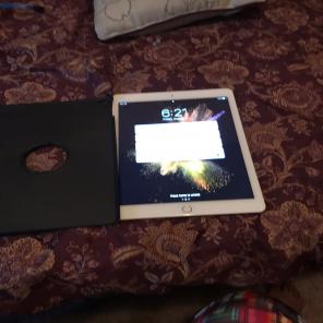 iPad Air 2 128gb Gold