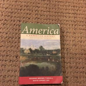 America: A Narrative History