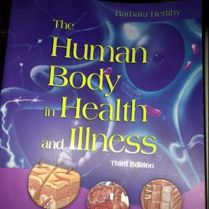 Human Body in Health & Illness BUNDLE !!