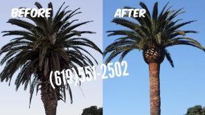 landscape projects for low prices