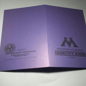 Harry Potter inspired MoM ID custom