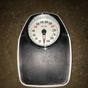Taylor Weight Scale