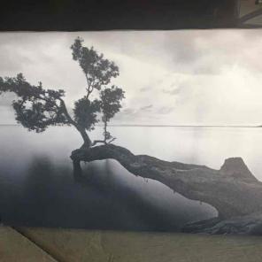 Black and white canvas photo