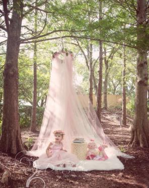 Fairytale Tulle Canopy