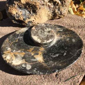 Oval Fossilized Marble Dish w/ Nautilus