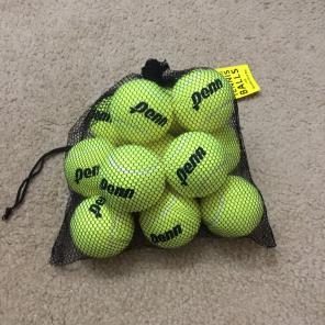 12 Penn Pressureless Tennis Balls