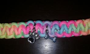 ⛤Dog Rainbow Bridge Bracelet 1