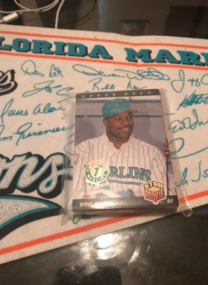 Marlins Pennant