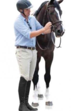 Ovation Mens Euroweave Knee Patch Breech