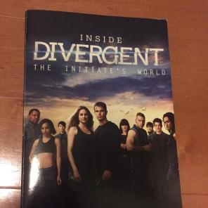 Inside Divergent- The Initiate's World