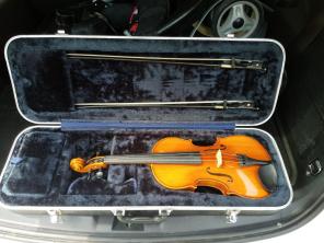 Violin