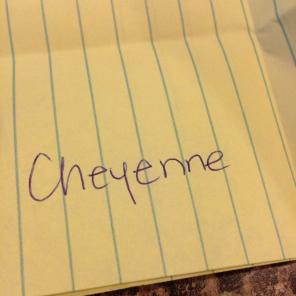 Toddler Bed Set Bundle For Cheyenne