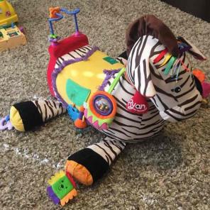 Ryan the Zebra