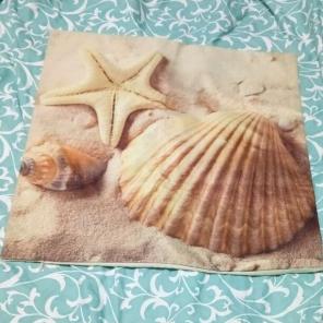 Seashell Decor Pillow Case