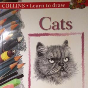 Learn To Draw Cats