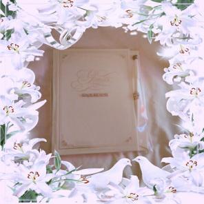 "Bling" Guest Book & Pen Set