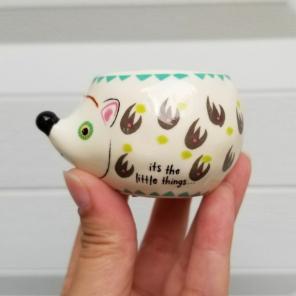 Unique Hedgehog succulent planter