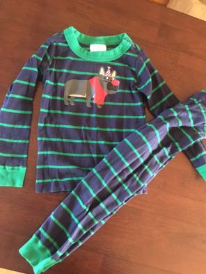 Hanna Andersson Pajamas Sz 100 / 4