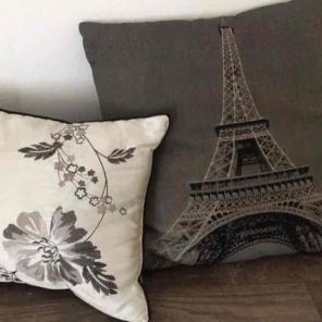 Pillows( 2)
