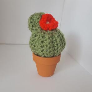 Crochet cactus with red flower