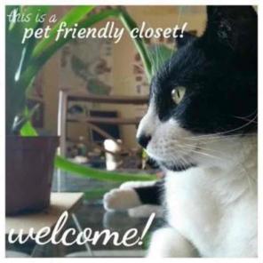 Cat Friendly Closet