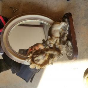 Lion mirror