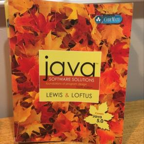 Java Software Solutions