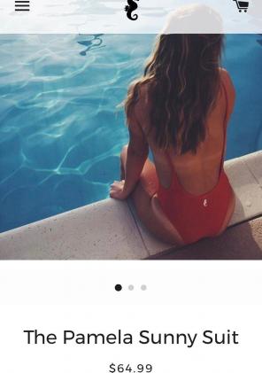 Red Sunny Co Pamela bathingsuit