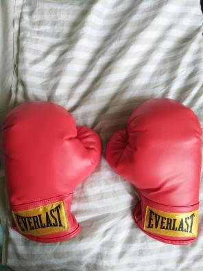 Boxing gloves