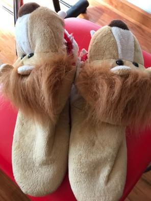 Men’s Slipper Lion