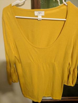 Ann Taylor Loft sweater