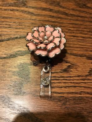 Expandable ID Holder