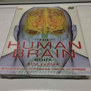 Brand New The Human Brain