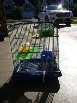 Small hamster and rodent cage