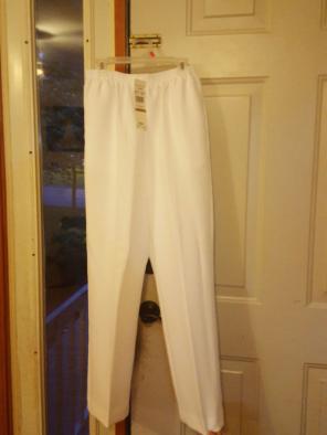 Dress pants