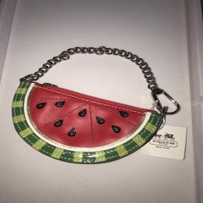 Coach Coin Purse