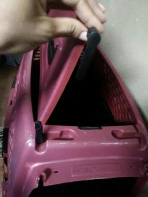 Pet Carrier