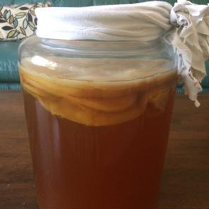 Scoby(s)For Kombucha-various price sizes