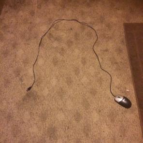Dell Mouse