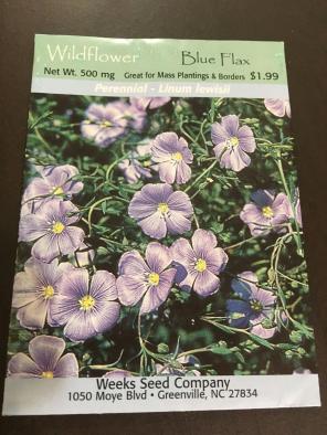 Wild Flower Blue Flax Seeds 1 Package