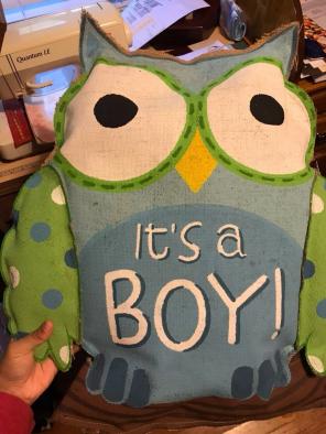 Cute Little Owl