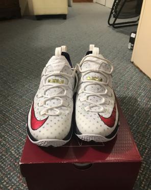 USA Lebron 10 Lows 10/10 Condition