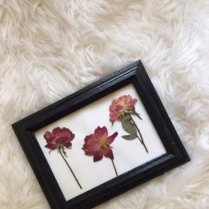 Framed Pressed Flower Art