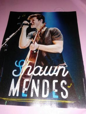 SHAWN MENDES 8x10 Pin-Up!