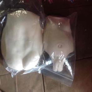 Female Front & Back Plates