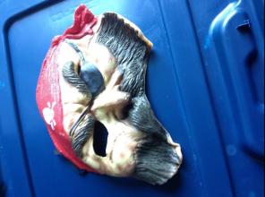 Pirate Face Mask