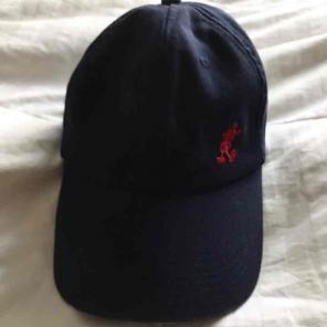 Disney dad hat